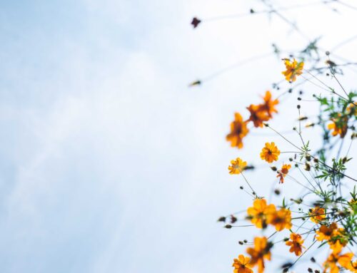 The Benefits of Spiritual Maturity In Everyday Life