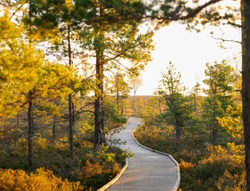 10 Signs of Low Self-Esteem in Marriage