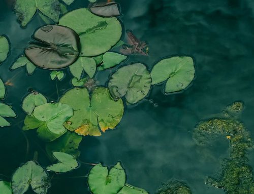 How to Suggest Depression Therapy to a High Achiever Without Offending Them